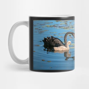 Black Swan and Cygnet Mug